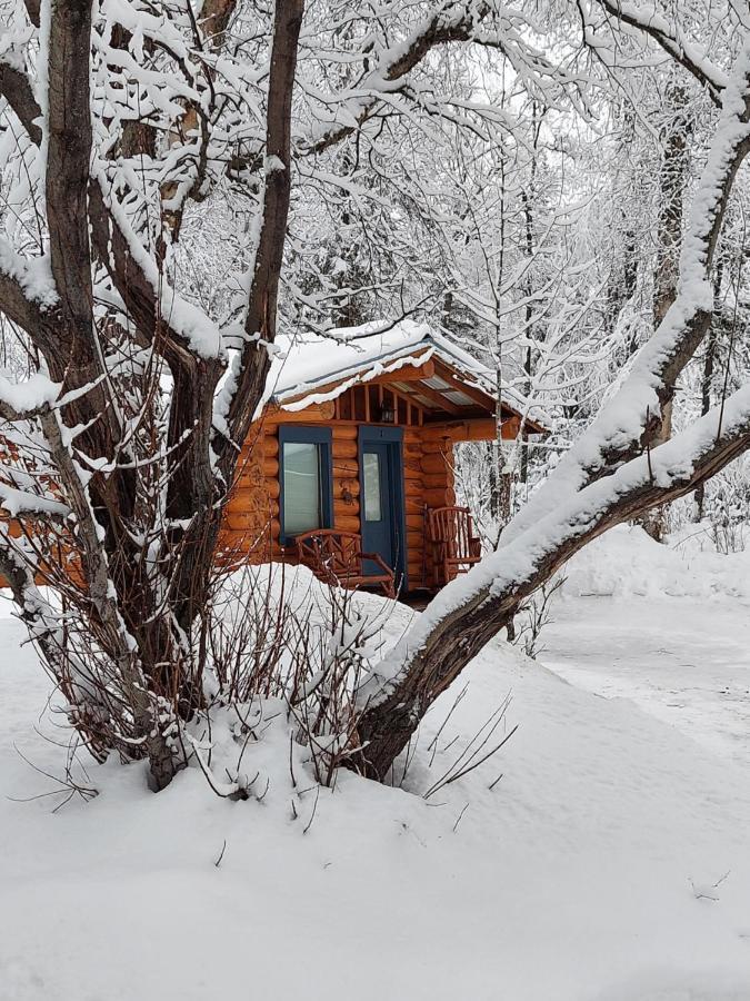 بالمر Hatcher Pass Cabins المظهر الخارجي الصورة